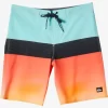 Mens Quiksilver Boardshorts | Surfsilk Panel 20