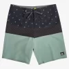 Mens Quiksilver Boardshorts | Surfsilk Panel 20