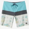 Mens Quiksilver Boardshorts | Surfsilk Panel 20