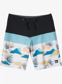 Mens Quiksilver Boardshorts | Surfsilk Panel 20" Boardshorts