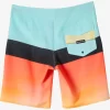 Mens Quiksilver Boardshorts | Surfsilk Panel 20