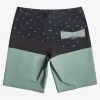 Mens Quiksilver Boardshorts | Surfsilk Panel 20