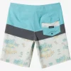 Mens Quiksilver Boardshorts | Surfsilk Panel 20