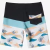 Mens Quiksilver Boardshorts | Surfsilk Panel 20