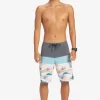 Mens Quiksilver Boardshorts | Surfsilk Panel 20