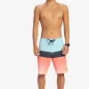 Mens Quiksilver Boardshorts | Surfsilk Panel 20