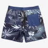 Mens Quiksilver Elastic Waist | Surfsilk Scallop Volley 17