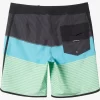 Mens Quiksilver Boardshorts | Surfsilk Tijuana 19