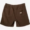 Mens Quiksilver Shorts & Amphibians | Taxer Cord Shorts