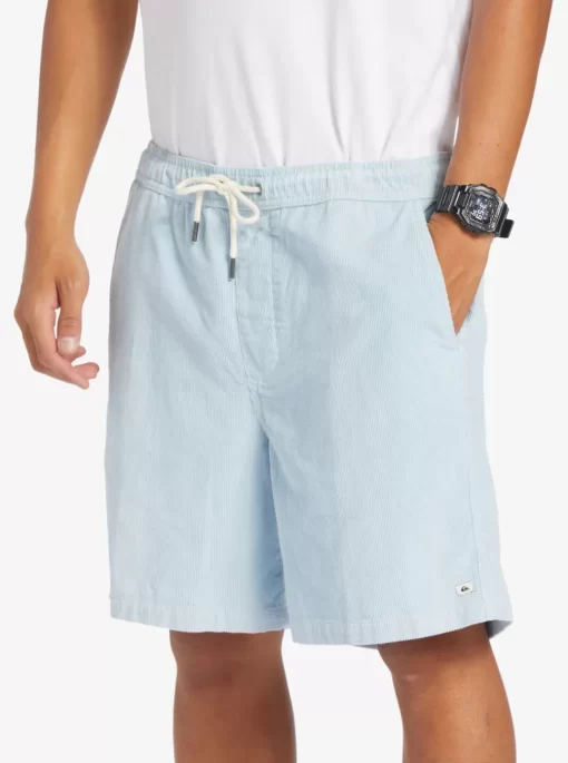 Mens Quiksilver Shorts & Amphibians | Taxer Cord Shorts