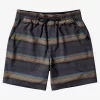 Mens Quiksilver Boardshorts | Taxer Print 18