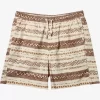 Mens Quiksilver Shorts & Amphibians | Taxer Print Elastic Waist Shorts