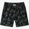 Mens Quiksilver Shorts & Amphibians | Taxer Print Elastic Waist Shorts