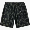 Mens Quiksilver Shorts & Amphibians | Taxer Print Elastic Waist Shorts