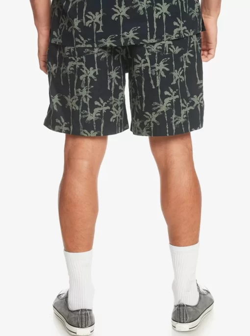 Mens Quiksilver Shorts & Amphibians | Taxer Print Elastic Waist Shorts