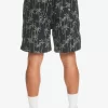 Mens Quiksilver Shorts & Amphibians | Taxer Print Elastic Waist Shorts