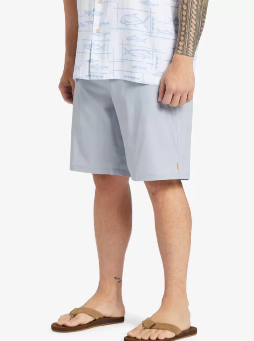 Mens Quiksilver Amphibians | Waterman Backwater 20" Amphibian Boardshorts