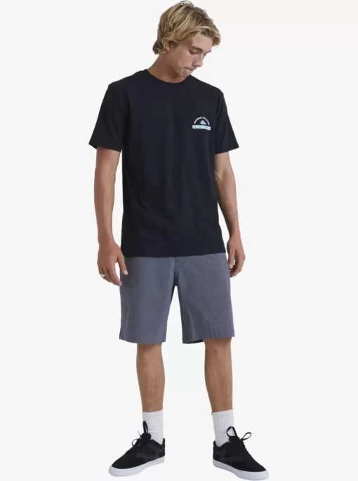 Mens Quiksilver Amphibians | Waterman Backwater 20" Amphibian Boardshorts