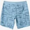 Mens Quiksilver Shorts & Amphibians | Waterman Bento Box 19