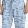 Mens Quiksilver Shorts & Amphibians | Waterman Bento Box 19