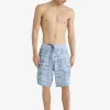 Mens Quiksilver Shorts & Amphibians | Waterman Bento Box 19