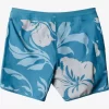 Mens Quiksilver Boardshorts | Waterman Big Charmer Boardshorts