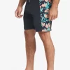 Mens Quiksilver Boardshorts | Waterman Cliffside Solid 19