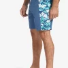 Mens Quiksilver Boardshorts | Waterman Cliffside Solid 19