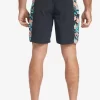 Mens Quiksilver Boardshorts | Waterman Cliffside Solid 19