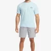 Mens Quiksilver Shorts | Waterman Last Light Elastic Waist 19