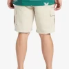 Mens Quiksilver Shorts | Waterman Maldive Atoll Cargo 20